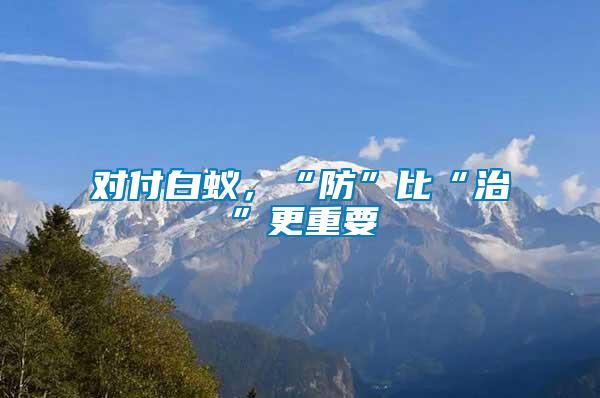 對(duì)付白蟻，“防”比“治”更重要