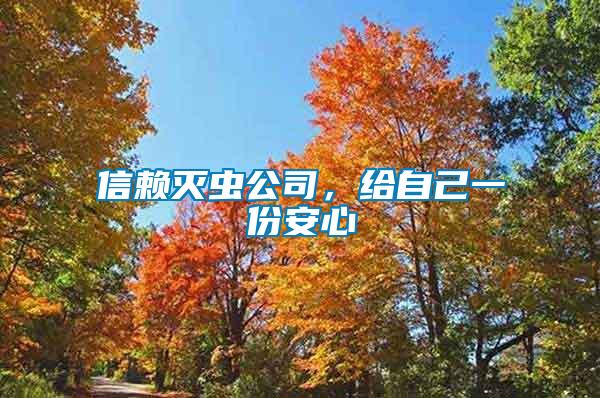 信賴滅蟲公司，給自己一份安心