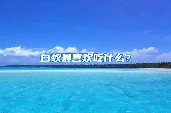 白蟻最喜歡吃什么？
