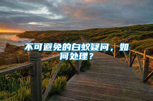 不可避免的白蟻疑問，如何處理？