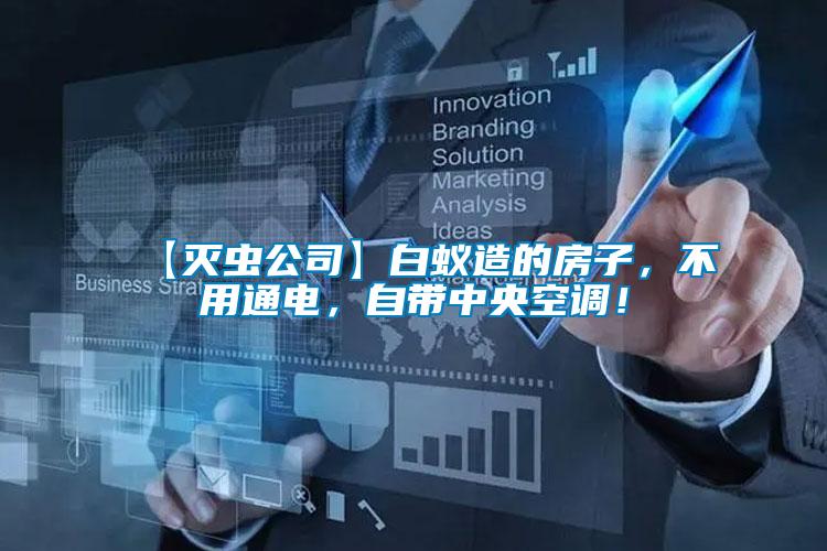 【滅蟲公司】白蟻造的房子，不用通電，自帶中央空調！