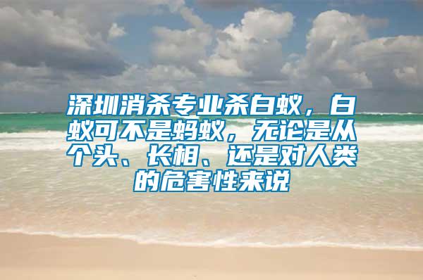 深圳消殺專業殺白蟻，白蟻可不是螞蟻，無論是從個頭、長相、還是對人類的危害性來說