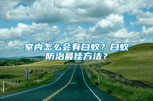 室內(nèi)怎么會有白蟻？白蟻防治最佳方法？