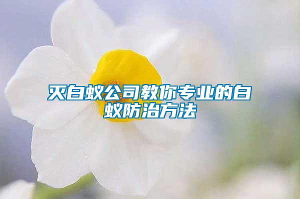 滅白蟻公司教你專業的白蟻防治方法