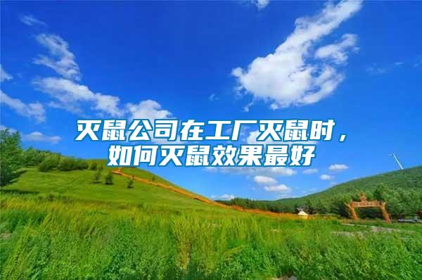 滅鼠公司在工廠滅鼠時，如何滅鼠效果最好