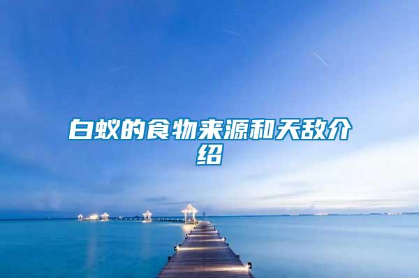 白蟻的食物來(lái)源和天敵介紹