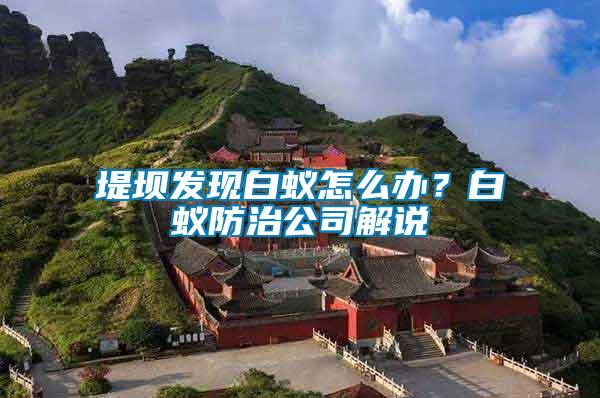 堤壩發現白蟻怎么辦？白蟻防治公司解說