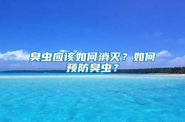 臭蟲應該如何消滅？如何預防臭蟲？