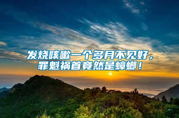 發燒咳嗽一個多月不見好，罪魁禍首竟然是蟑螂！