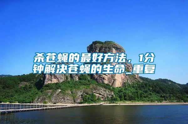 殺蒼蠅的最好方法，1分鐘解決蒼蠅的生命_重復