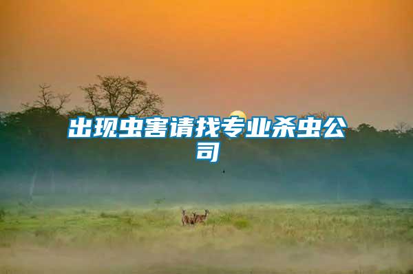 出現(xiàn)蟲(chóng)害請(qǐng)找專(zhuān)業(yè)殺蟲(chóng)公司