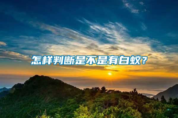 怎樣判斷是不是有白蟻？