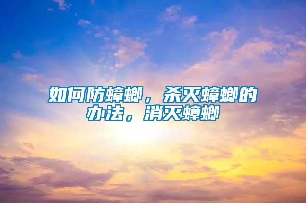 如何防蟑螂，殺滅蟑螂的辦法，消滅蟑螂