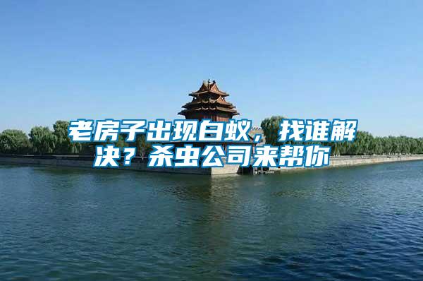 老房子出現白蟻，找誰解決？殺蟲公司來幫你