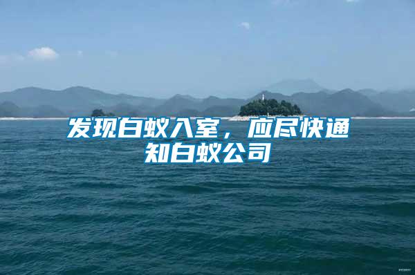 發現白蟻入室，應盡快通知白蟻公司