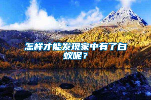 怎樣才能發現家中有了白蟻呢？