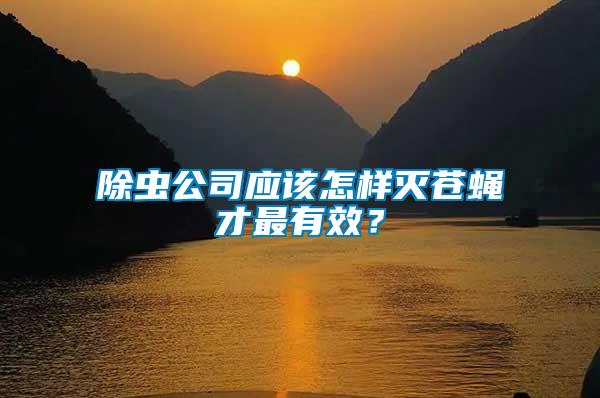 除蟲(chóng)公司應(yīng)該怎樣滅蒼蠅才最有效？