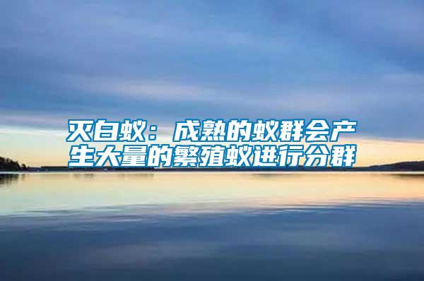 滅白蟻：成熟的蟻群會產(chǎn)生大量的繁殖蟻進(jìn)行分群