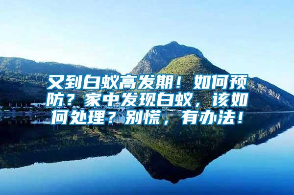 又到白蟻高發期！如何預防？家中發現白蟻，該如何處理？別慌，有辦法！