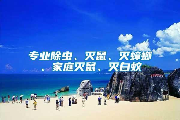 專業(yè)除蟲、滅鼠、滅蟑螂、家庭滅鼠、滅白蟻