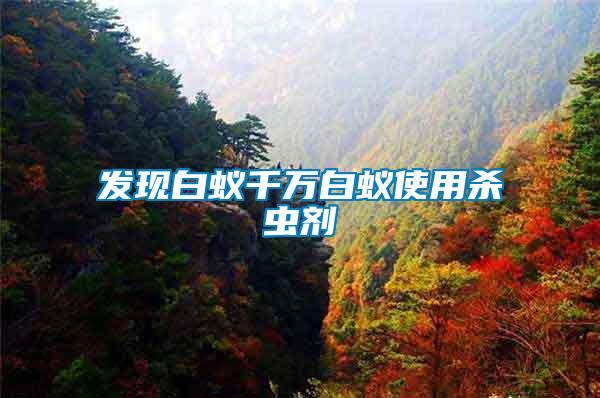 發現白蟻千萬白蟻使用殺蟲劑