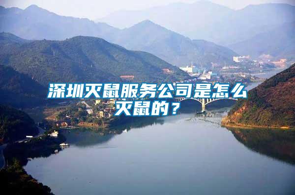 深圳滅鼠服務公司是怎么滅鼠的？