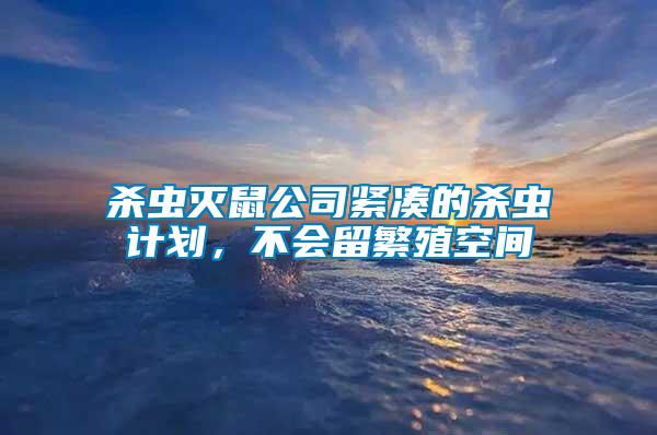 殺蟲滅鼠公司緊湊的殺蟲計劃，不會留繁殖空間