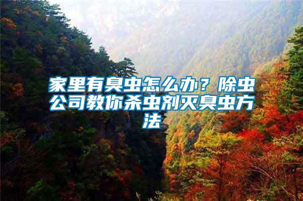 家里有臭蟲怎么辦？除蟲公司教你殺蟲劑滅臭蟲方法