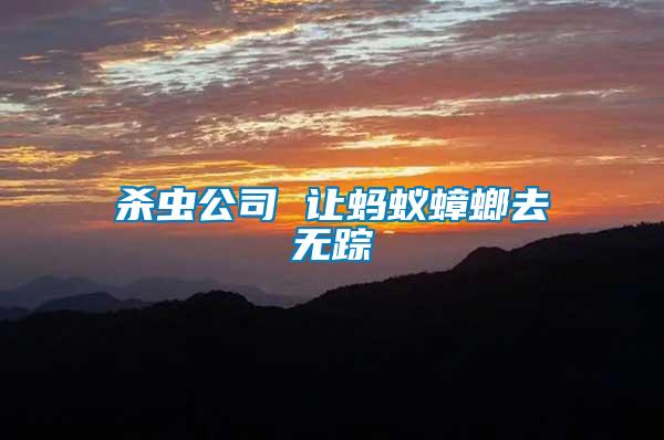 殺蟲公司 讓螞蟻蟑螂去無(wú)蹤