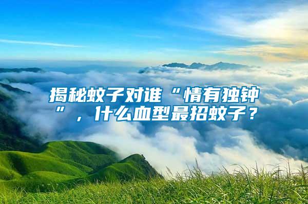 揭秘蚊子對(duì)誰(shuí)“情有獨(dú)鐘”，什么血型最招蚊子？