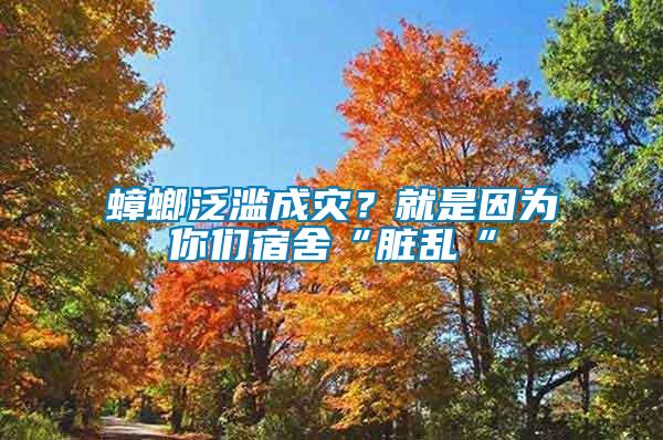 蟑螂泛濫成災？就是因為你們宿舍“臟亂“