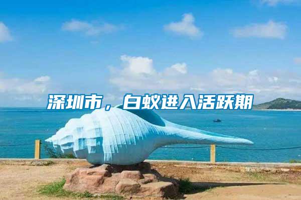 深圳市，白蟻進(jìn)入活躍期