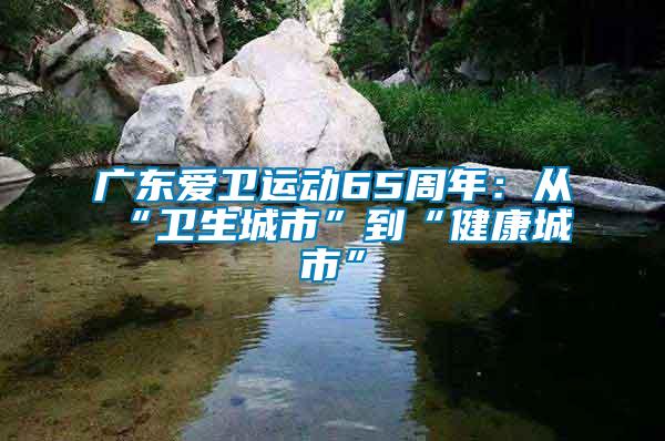 廣東愛衛(wèi)運(yùn)動65周年：從“衛(wèi)生城市”到“健康城市”