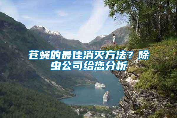 蒼蠅的最佳消滅方法？除蟲公司給您分析