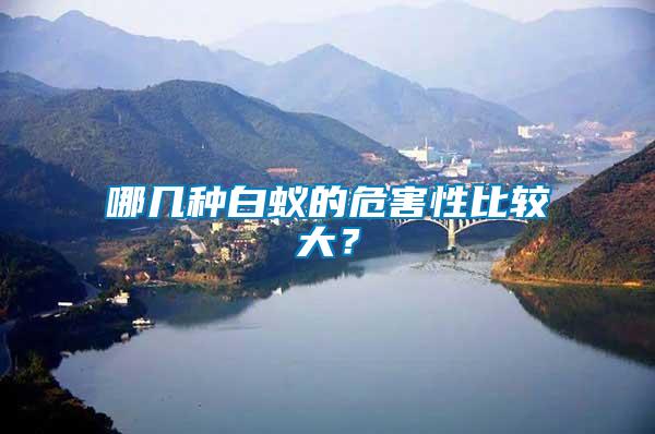 哪幾種白蟻的危害性比較大？