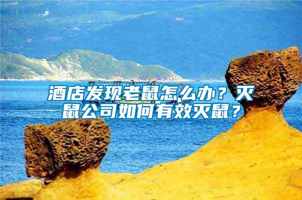 酒店發(fā)現(xiàn)老鼠怎么辦？滅鼠公司如何有效滅鼠？