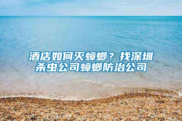 酒店如何滅蟑螂？找深圳殺蟲公司蟑螂防治公司