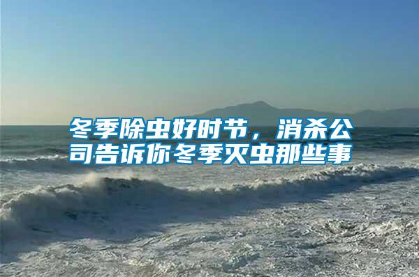 冬季除蟲好時節，消殺公司告訴你冬季滅蟲那些事
