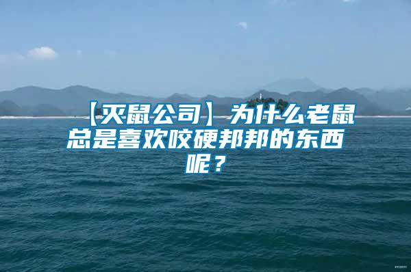 【滅鼠公司】為什么老鼠總是喜歡咬硬邦邦的東西呢？