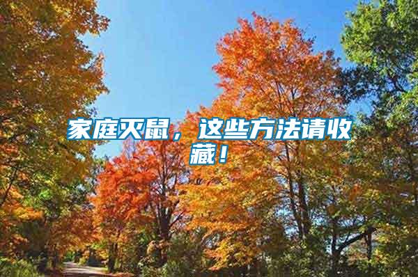 家庭滅鼠，這些方法請收藏！