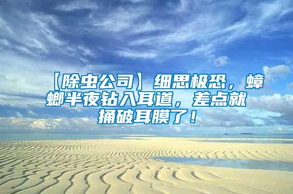 【除蟲公司】細(xì)思極恐，蟑螂半夜鉆入耳道，差點就捅破耳膜了！
