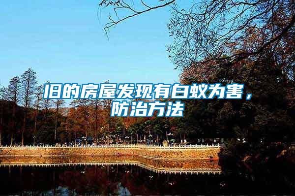 舊的房屋發現有白蟻為害，防治方法