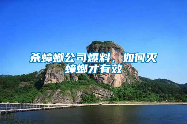 殺蟑螂公司爆料，如何滅蟑螂才有效