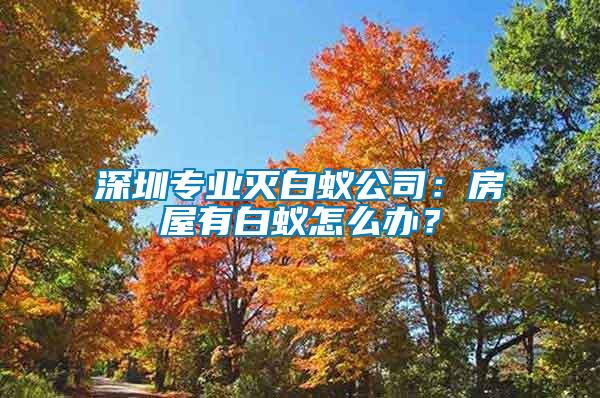 深圳專業滅白蟻公司：房屋有白蟻怎么辦？