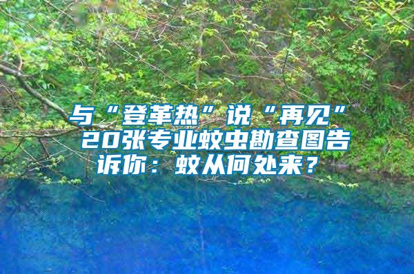 與“登革熱”說“再見” 20張專業蚊蟲勘查圖告訴你：蚊從何處來？