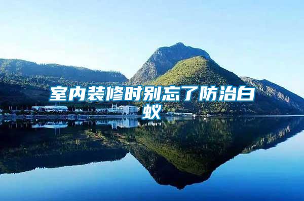 室內裝修時別忘了防治白蟻