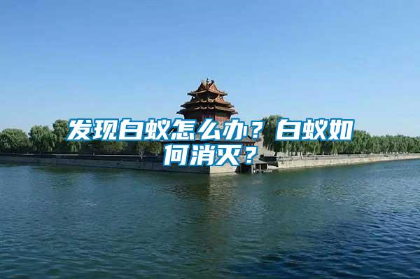發現白蟻怎么辦？白蟻如何消滅？