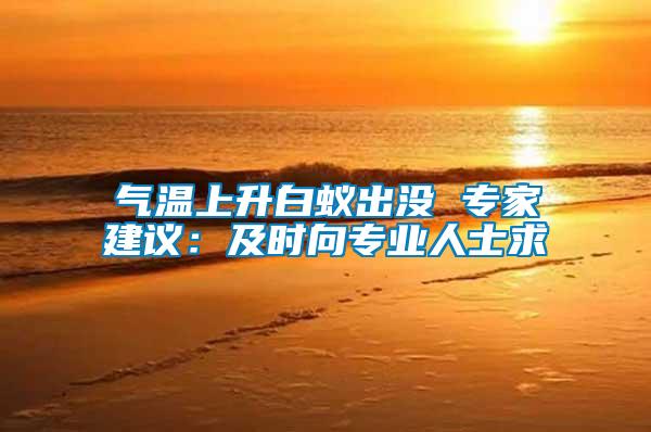 氣溫上升白蟻出沒(méi) 專(zhuān)家建議：及時(shí)向?qū)I(yè)人士求