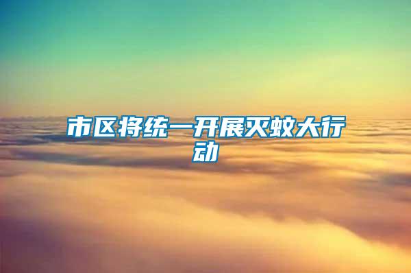 市區(qū)將統(tǒng)一開(kāi)展滅蚊大行動(dòng)