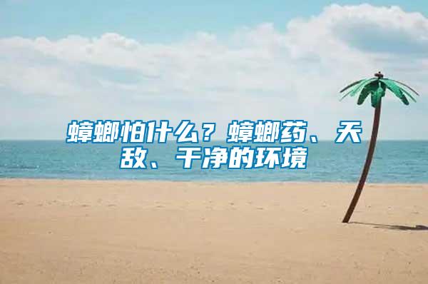 蟑螂怕什么？蟑螂藥、天敵、干凈的環(huán)境